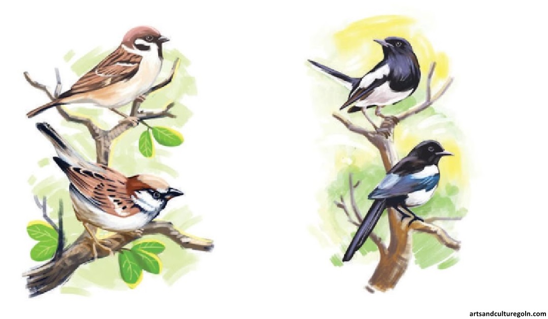 আত্মার আত্মীয়