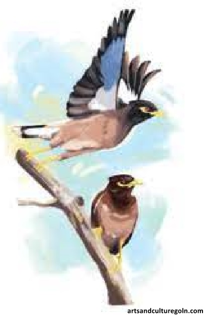 আত্মার আত্মীয়