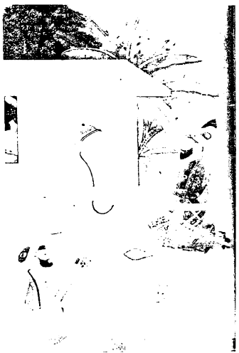 ধরুপদ রবাব